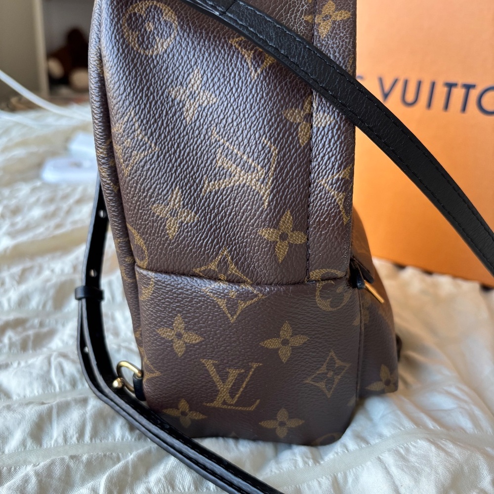 LV Palm Spring Mini - Picture 5 of 7